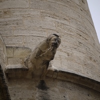 Photo de france - Montpellier